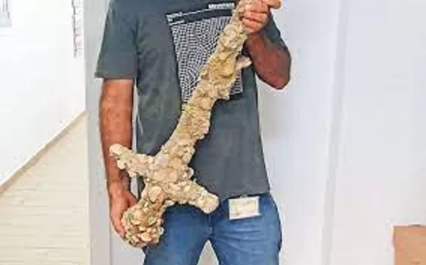 Israeli scuba diver discovers 900-year-old Crusader sword