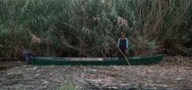 Iraq reduces agricultural areas by 50% due to lack of water