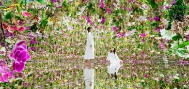 باخچە لە گوڵ و ئاوێنە بۆ ئارامیی دەروون