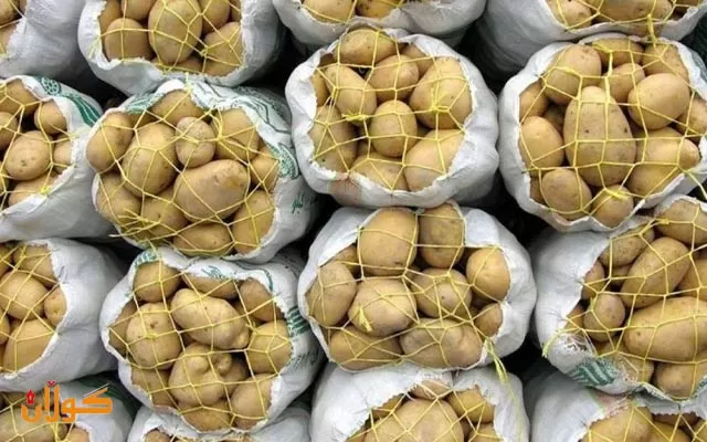 بەرهەمهێنانی پەتاتە لەكوردستان و عێراق رووی لەزیادبوون كرد