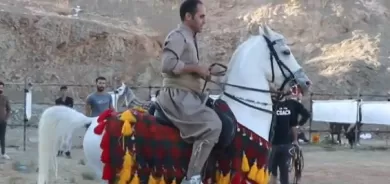 Yekem Festîvala Hespê Resen ê Kurdî li Bokanê