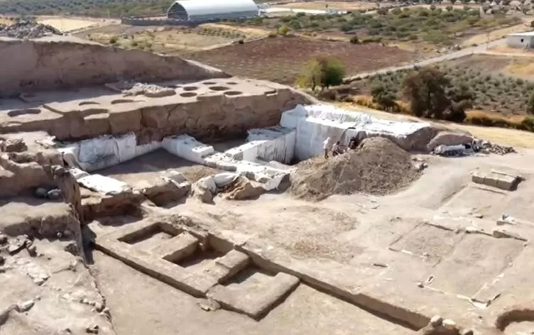 Li Kilîs û Efrînê dîroka zeytûnan digihije hezaran salan