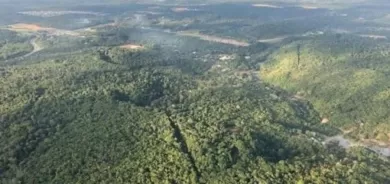 غابات الأمازون تتآكل يوميا.. والخطر يحدق بكل البشر