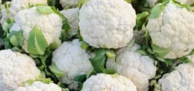 يمنع تجلط الدم.. فوائد مذهلة للقرنبيط