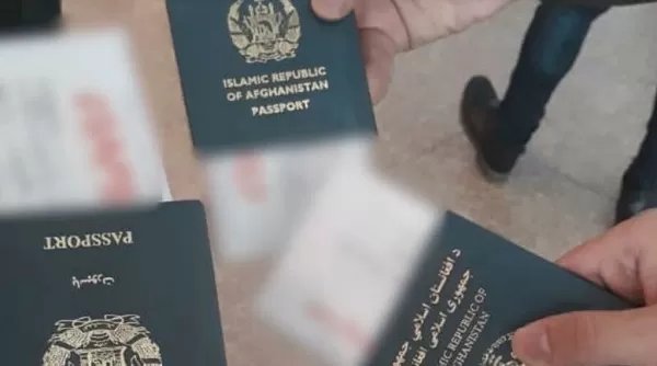 ‘The Taliban has a kill list’ for the Afghan LGBT community, NGO says