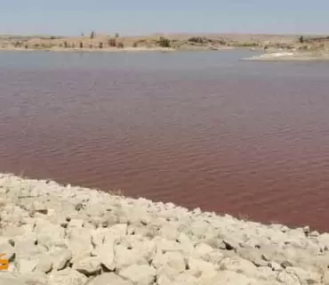 به‌نداوى باوه‌شاسوار لە كفری وشكى كرد