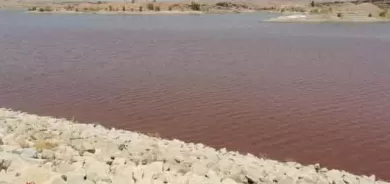 به‌نداوى باوه‌شاسوار لە كفری وشكى كرد