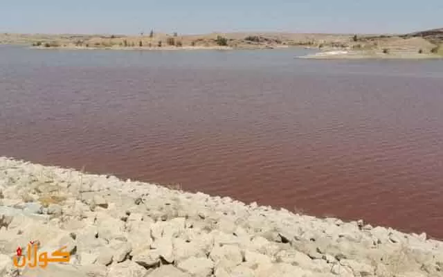 به‌نداوى باوه‌شاسوار لە كفری وشكى كرد