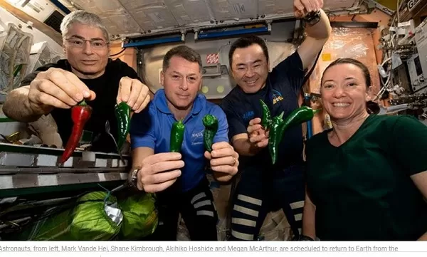 NASA to bring astronauts back to Earth after 6-month stay on space station