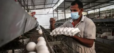 كيف يمكن حماية الأطفال من 