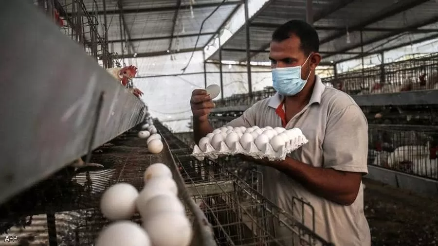 كيف يمكن حماية الأطفال من 