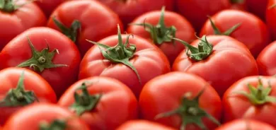 العراق يقرر منع استيراد الطماطة