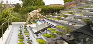 باخچە لە سەربانی ماڵ