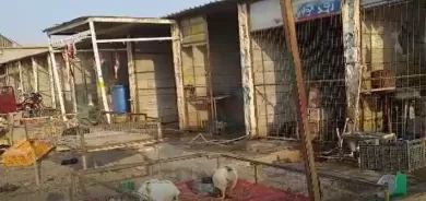 Bi video – Li Xurmatû milîsên Heşdî Şeibî bacê ji 80 dukandaran werdigrin