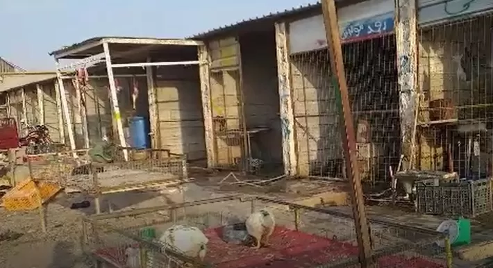 Bi video – Li Xurmatû milîsên Heşdî Şeibî bacê ji 80 dukandaran werdigrin