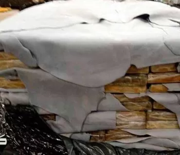       لە ئۆپەراسیۆنی هاوبەشی پۆلیسی بەلجیکی و هۆڵەندی،  باندێكی بازرگانیکردن بە دەرمان و جگەرە و ماددەی هۆشبەر دەست گیر كران