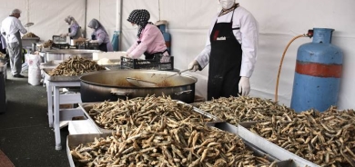 Li Stenbolê Festîvala Hemsiyan birêve çû