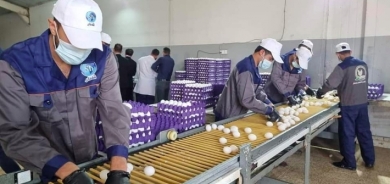 أربيل: مشروع استثماري جديد يوفر المئات من فرص العمل