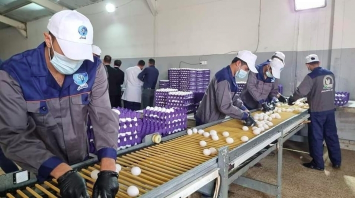 أربيل: مشروع استثماري جديد يوفر المئات من فرص العمل