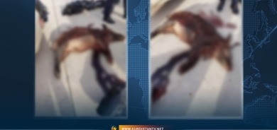 Li Silêmanî 4 kes hatin girtin