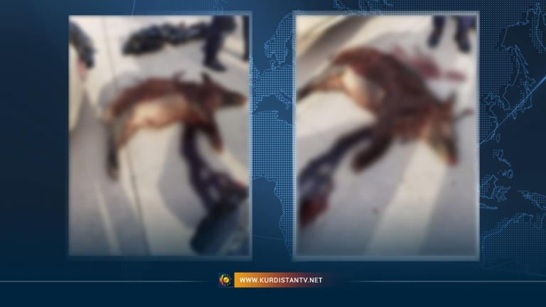 Li Silêmanî 4 kes hatin girtin