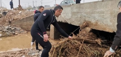 Hewldanên bo dîtina termê zarokê 10 mehî berdewamin