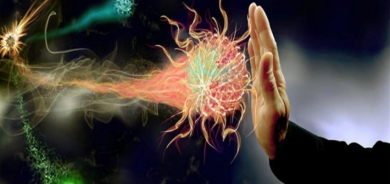 كيف تحافظ على جهاز المناعة؟ هذه المواد الغذائية ضرورية