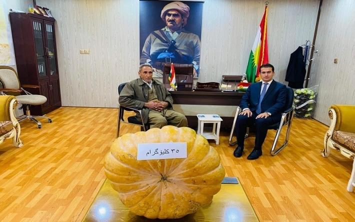 مزارع كوردي ينتج يقطينة بوزن 35 كيلوغرام