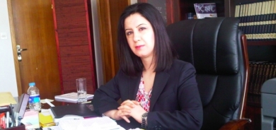 Çinar Seîd Ebdula gotegotekî derbarê sedemên lehiya Hewlêrê de derewand