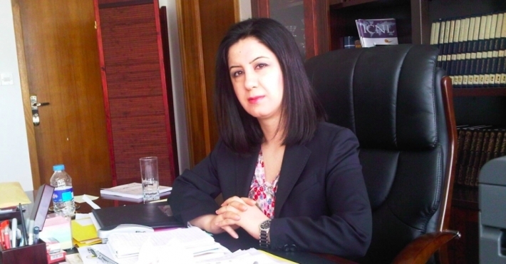 Çinar Seîd Ebdula gotegotekî derbarê sedemên lehiya Hewlêrê de derewand