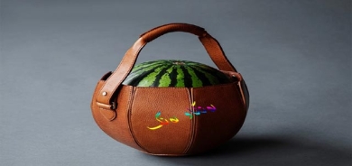 جانتا بۆ هەڵگرتنی شووتی و كەرەستەی خڕ و بازنەیی