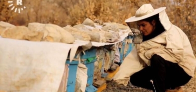 Keçeke Kurd dest ji mamostetiyê berda û bû mêşvan