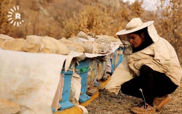 Keçeke Kurd dest ji mamostetiyê berda û bû mêşvan