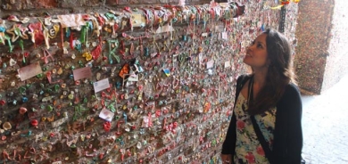 بنێشتە دیوار