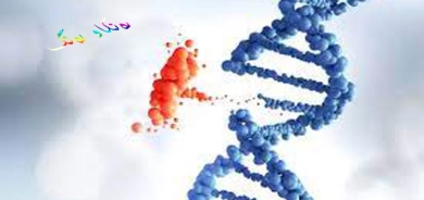 نۆبڵی كیمیاگەری