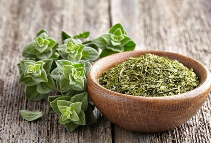 ما لا تعرفه عن فوائد الزعتر الأخضر