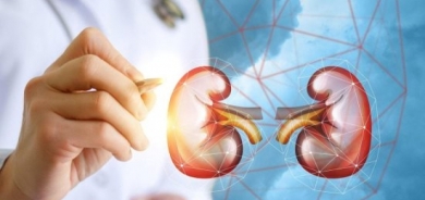 علماء يكشفون خطورة الإصابة بكورونا على الكلى