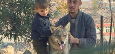 Malbateke Kurd gurek kedî kirine; Dolme, Hejîr û Tirî dixwe