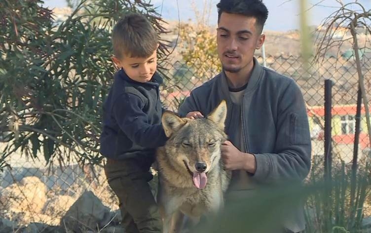 Malbateke Kurd gurek kedî kirine; Dolme, Hejîr û Tirî dixwe
