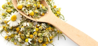 عشبة البابونج.. فوائد لا تحصى بوصفات بسيطة