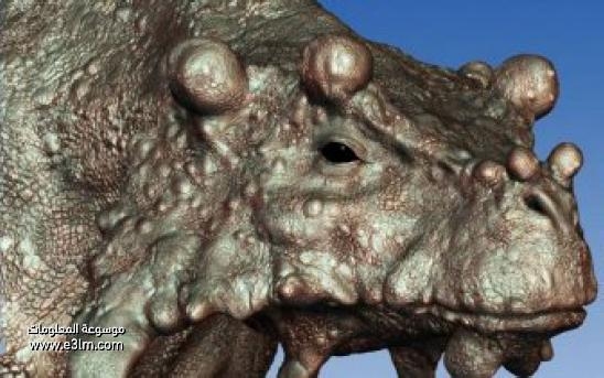 بحجم هائل.. اكتشاف حفرية حيوان مفترس عاش قبل ملايين السنين