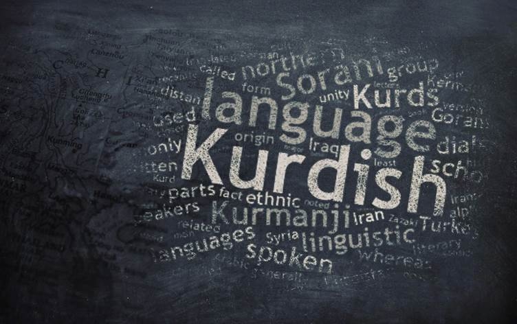 LÊKOLÎN - Kîjan ziman di bin metirsiya jinavçûnê de ne?