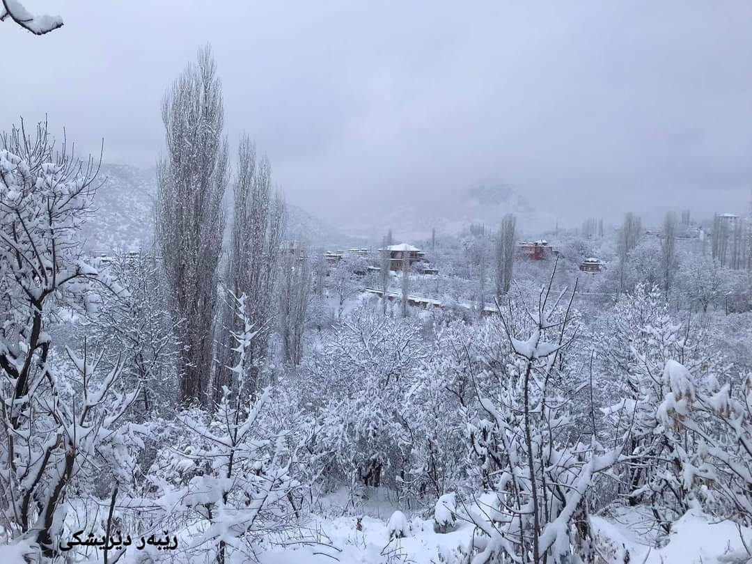 الثلوج تغطي آميدي