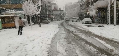 Berfê Kurdistan spî kir