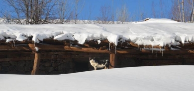 Li Mûşê welatî bi tunelên berfê ji malan derketin