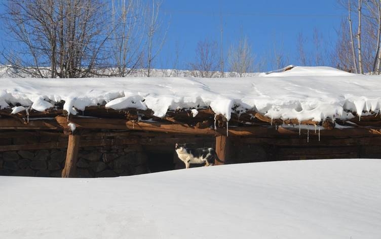 Li Mûşê welatî bi tunelên berfê ji malan derketin