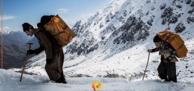 Di salekê de 215 Kolber bûne qurbanî