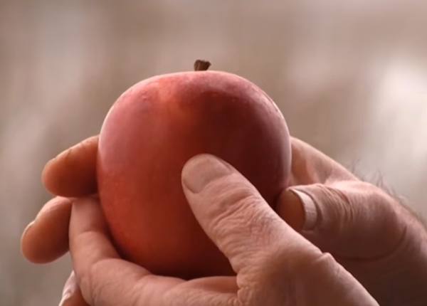 (بۆنی سێو) فیلمێكی كوردییە باس لە ڕزگاربوویەكی كیمیابارانی هەڵەبجە دەكات