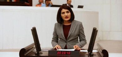 Derbarê Semra Guzel de dosye bo Komîsyona Têkel hat şandin