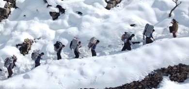 Behzad Rehîmî lêborîn ji kolberan xwest